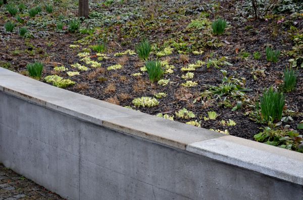 Concrete Wall Construction in Hamilton