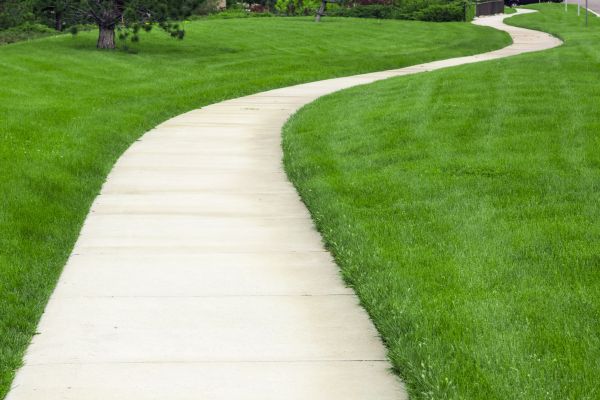 Pathway Replacement in Hamilton