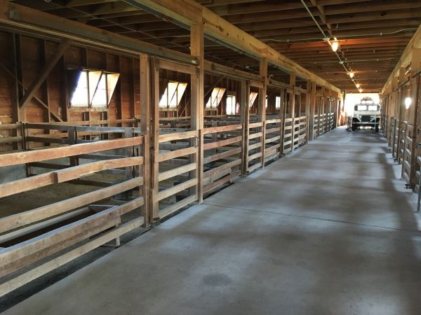 Barn Floor Pouring in Hamilton